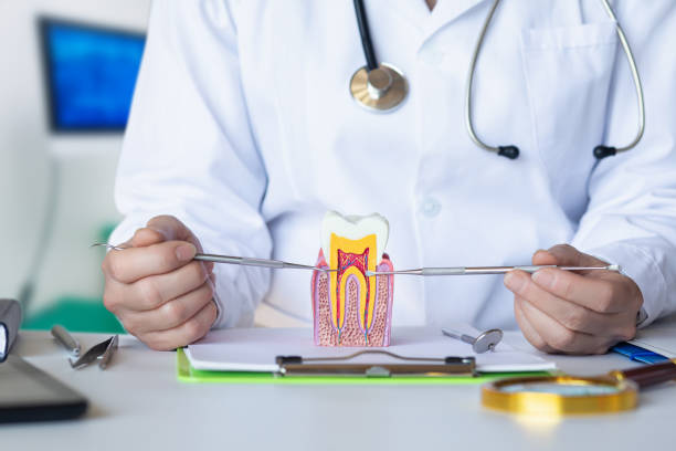 Best Emergency Treatment for Dental Infections or Abscesses in Pleasanton, TX